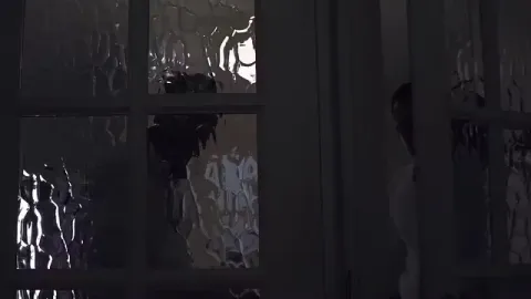 Mind Control Possession in Parasite Attic