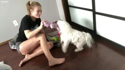 Playing with My Dogs, It’s not Sexual You Degenerates